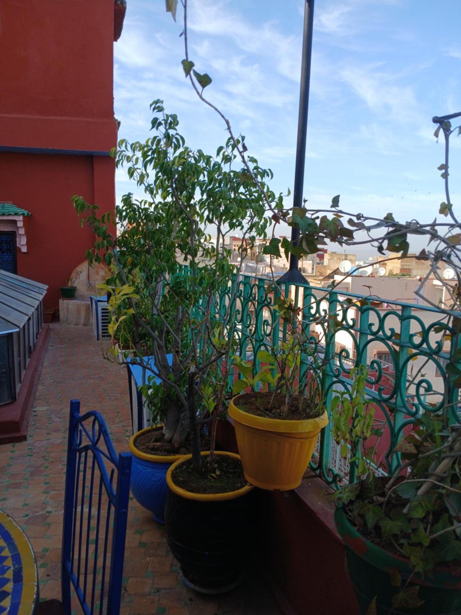 מקנס Riad Idrissi מראה חיצוני תמונה