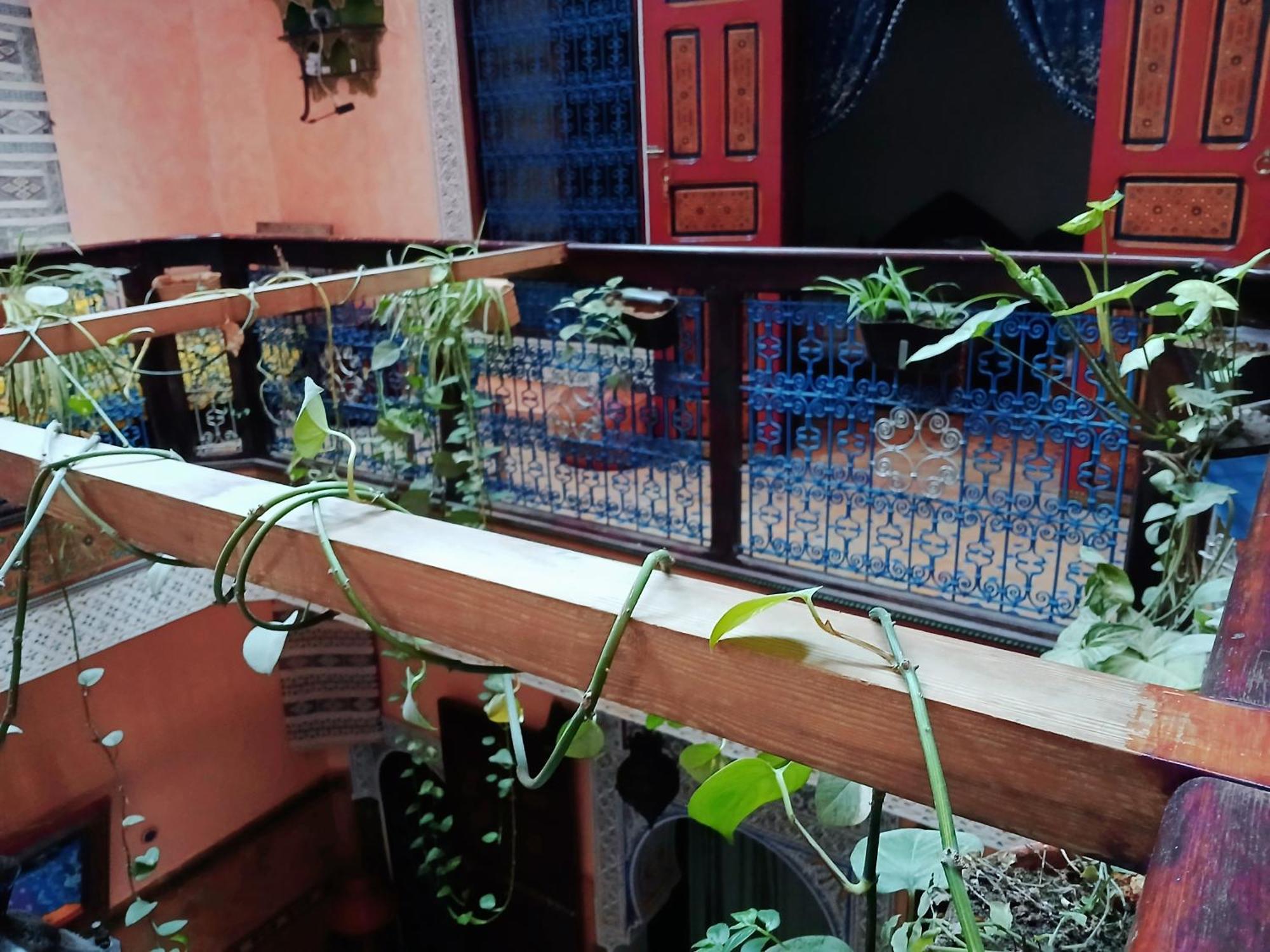 מקנס Riad Idrissi מראה חיצוני תמונה